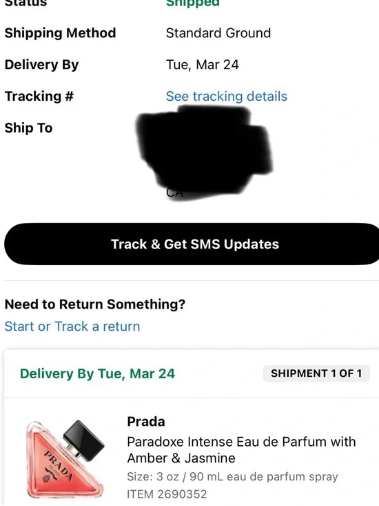 Prada - Picture 3 of 3